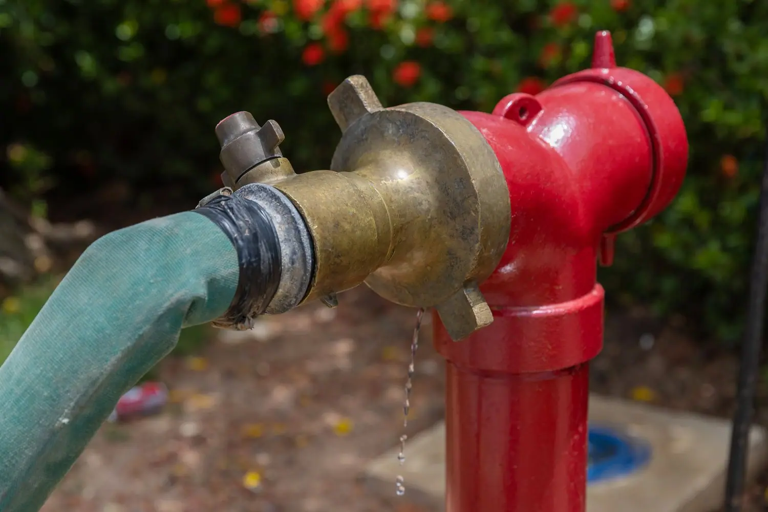Gdzie zamontować hydrant ogrodowy i jak go zabezpieczyć